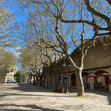 Maison De Vacances Independante A Florensac, Herault - 4 Personnes Holiday home Florensac